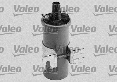 VALE245010